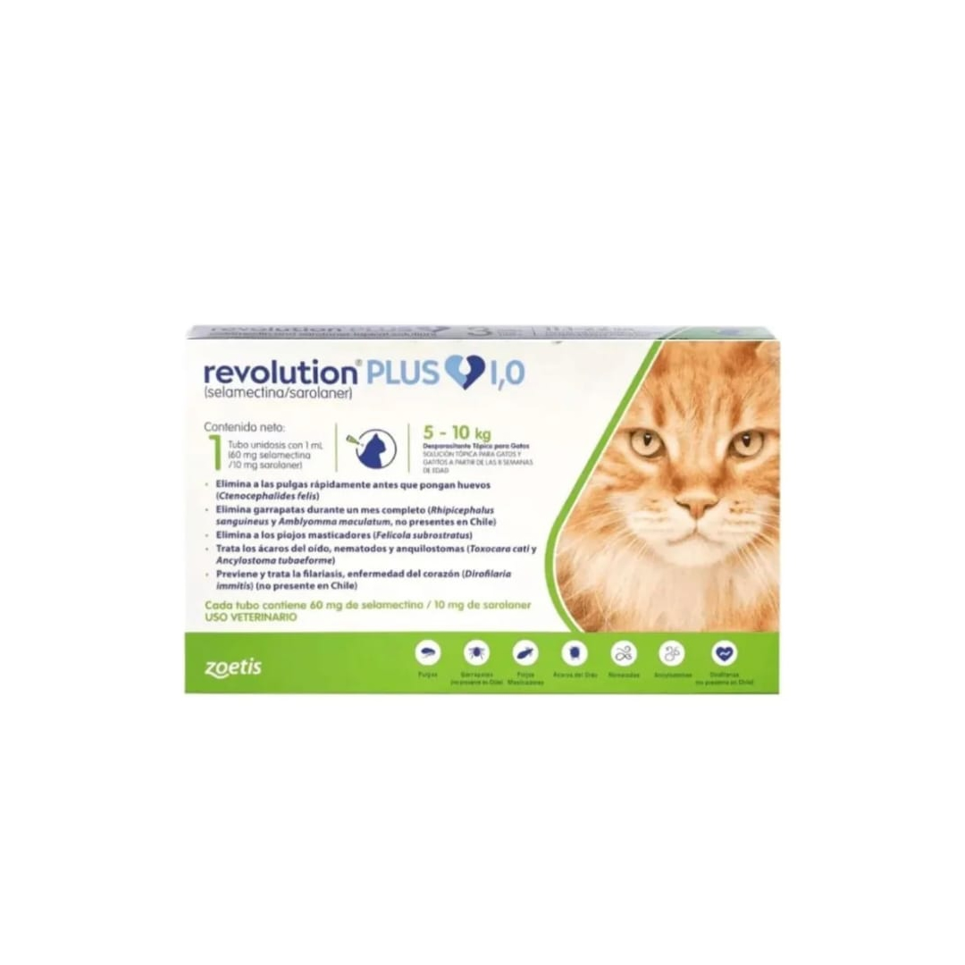 Revolution Plus Gato 5 – 10kg